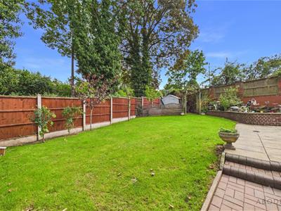 Picture 23